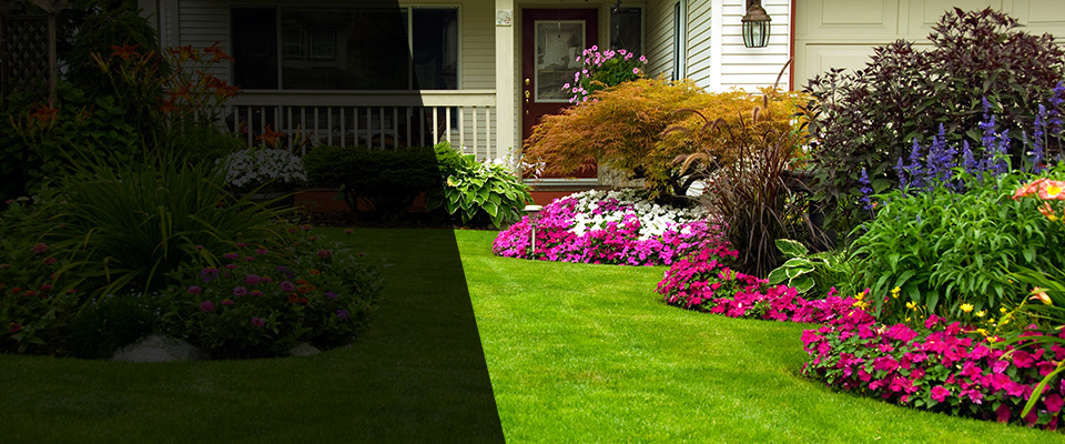 Matthews Landscapers
