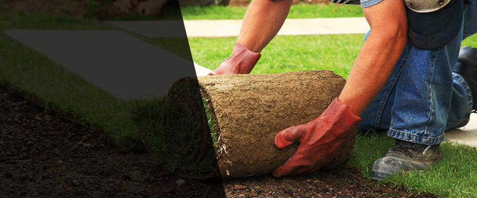 Matthews Landscapers